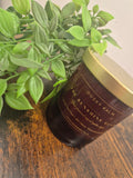 The Sunshine Glow - Positivity Essential Oil Blend
